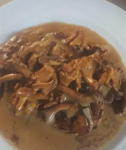 Hotell M Jacobs Gmbh Gummersbach